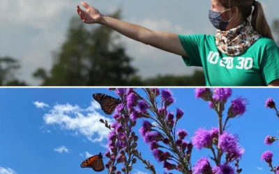 Deep Roots: What Businesses Can Learn From A Native Prairie